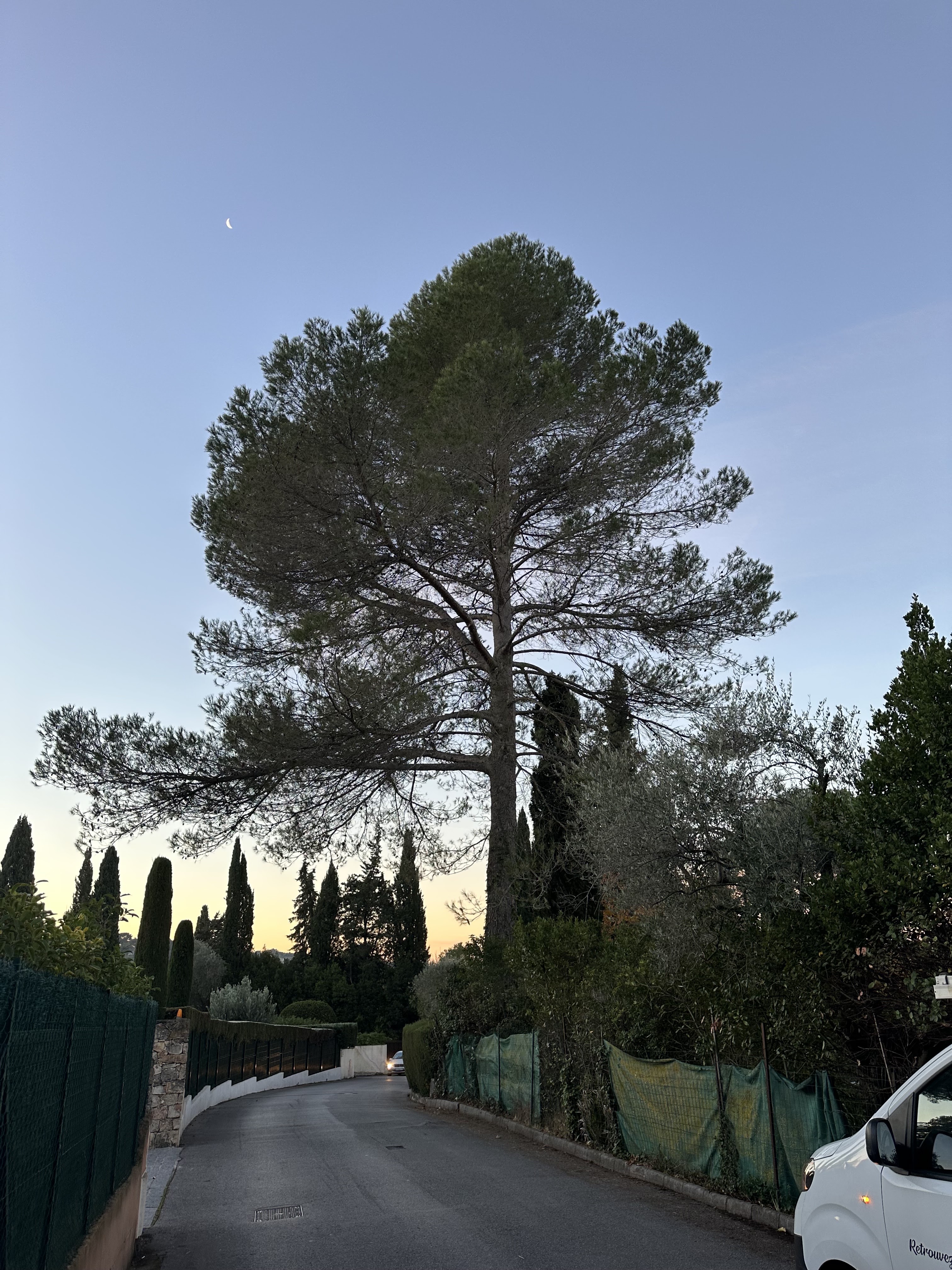 Photo n° 1 de l'avis de Nicolas.a fait le 13/12/2023 à 21:34