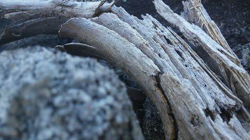 Nature Preserve «Davidson-Arabia Nature Preserve», reviews and photos, 3787 Klondike Rd, Lithonia, GA 30038, USA