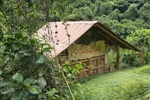 Eco Cabaña Pocahontas En Rio Santo Domingo, Hermano Del Melcocho image