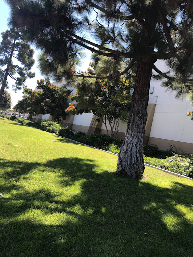 Albertsons image