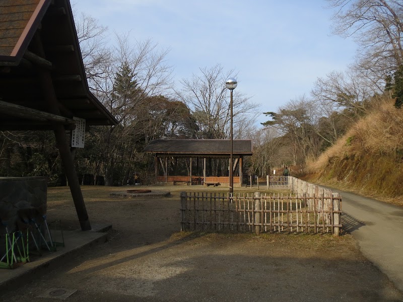 県立 清和県民の森 キャンプ場