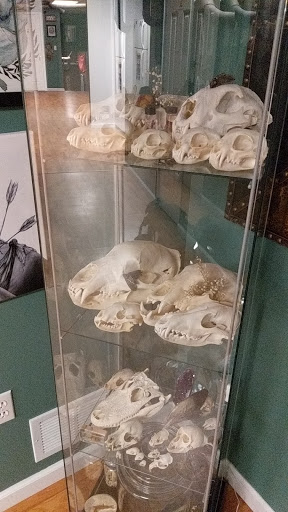 Tattoo Shop «Rapture Tattoo Emporium», reviews and photos, 5 Ann St, Duncannon, PA 17020, USA