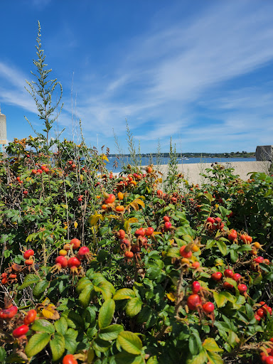 Fortress «Fort Preble», reviews and photos, Bunker Lane, South Portland, ME 04106, USA