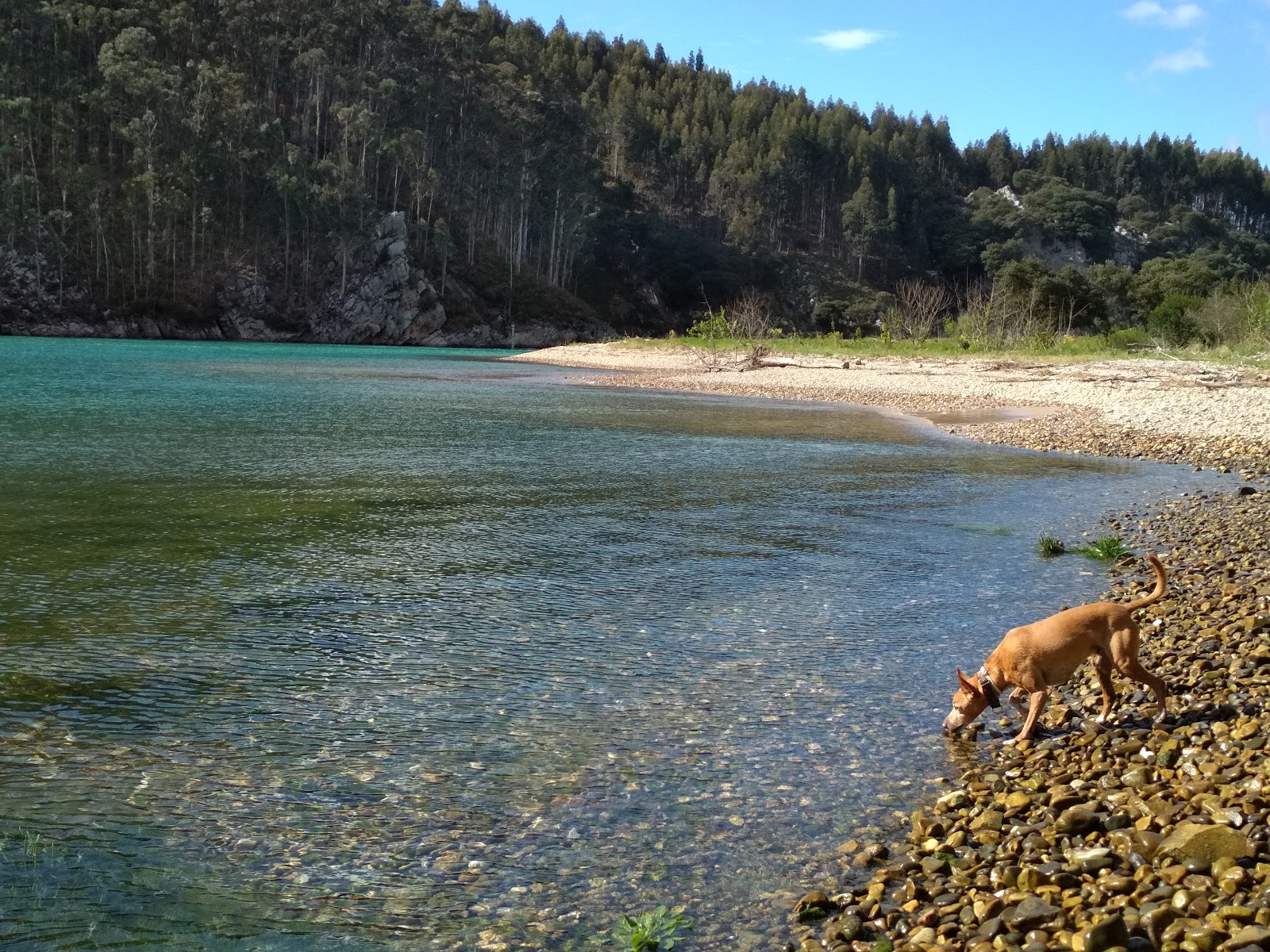 Pechon Plajı'in fotoğrafı ve yerleşim