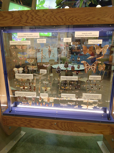 Natural History Museum «Florida Museum of Natural History», reviews and photos, 3215 Hull Rd, Gainesville, FL 32611, USA