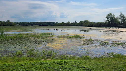 Campground «Blue Haven Campground», reviews and photos, 5253 US-11, Ellenburg Depot, NY 12935, USA