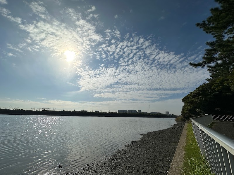 メインエントランス広場（谷津干潟公園）