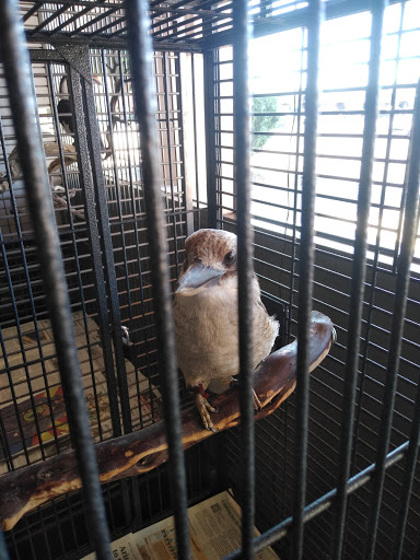 Pet Store «Wildside Pets», reviews and photos, 1042 N Higley Rd #105, Mesa, AZ 85205, USA