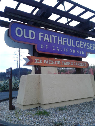 Tourist Attraction «Old Faithful Geyser of California», reviews and photos, 1299 Tubbs Ln, Calistoga, CA 94515, USA