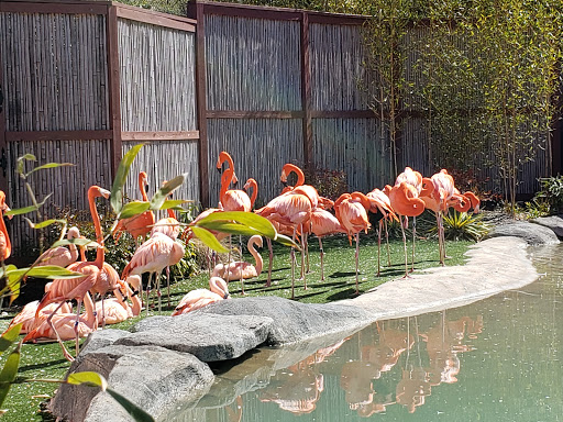 Zoo «Turtle Back Zoo», reviews and photos, 560 Northfield Ave, West Orange, NJ 07052, USA