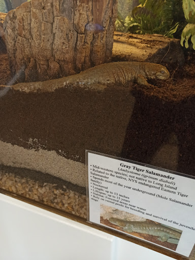 Natural History Museum «South Fork Natural History Museum & Nature Center», reviews and photos, 377 Bridgehampton-Sag Harbor Turnpike, Bridgehampton, NY 11932, USA