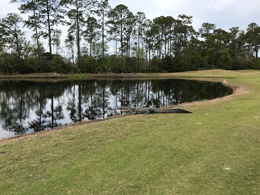 Golf Club «NAS Jacksonville Golf Club», reviews and photos, 3978 Mustin Rd, Jacksonville, FL 32212, USA