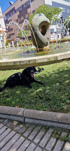 Clínica Veterinaria Barajas - The Gorilla Vets Company (Anterior Servivet) en Madrid