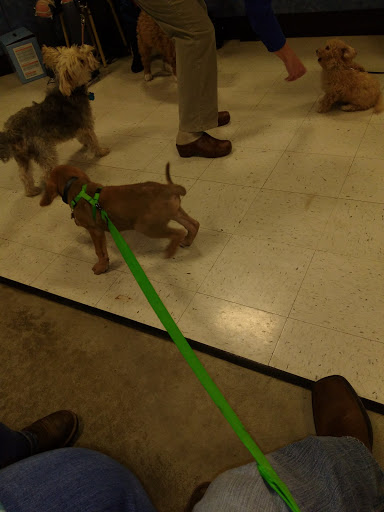 Pet Supply Store «PetSmart», reviews and photos, 3450 N Morrison Rd, Muncie, IN 47304, USA