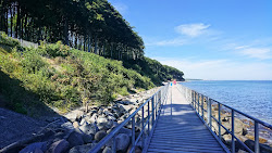Photo de Heiligendamm Strand avec un niveau de propreté de très propre