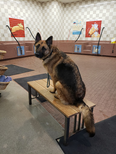 Pet Supply Store «Pet Food Express», reviews and photos, 11430 San Pablo Ave, El Cerrito, CA 94530, USA