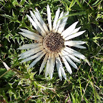 Photo n°2 de l'avis de Sandra.o fait le 08/02/2020 à 21:35 sur le  Hotel Polsa - Azzurro Club Vacanze à Polsa, Bretonico