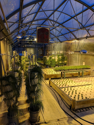 Grocery Store «Water Fresh Farm Marketplace», reviews and photos, 151 Hayden Rowe St, Hopkinton, MA 01748, USA