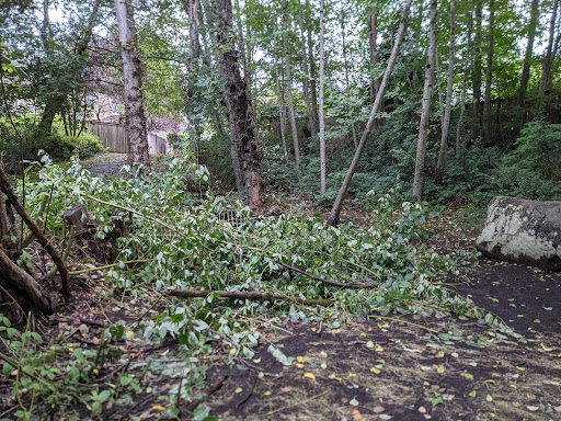 Park «Highlands Park», reviews and photos, 16123 Highlands Blvd SE, Mill Creek, WA 98012, USA