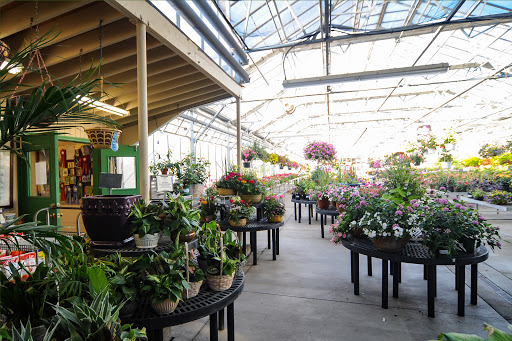 Florist «Dundalk Florist», reviews and photos, 7233 German Hill Rd, Dundalk, MD 21222, USA