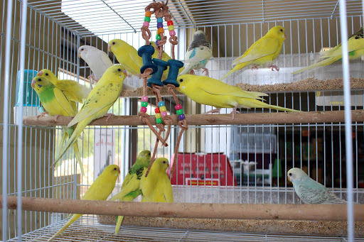 Pet Supply Store «El Granero Feed & Pet Supplies», reviews and photos, 2228 Church Ln, San Pablo, CA 94806, USA