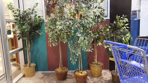 Thrift Store «Goodwill», reviews and photos, 2010 N Graves St, McKinney, TX 75069, USA