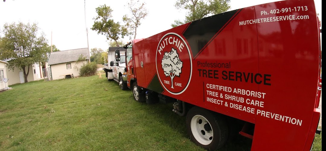 Mutchie Tree Service