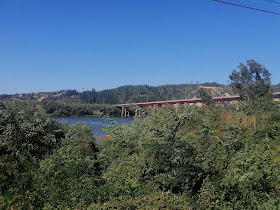 Río Maule