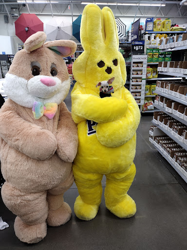 Department Store «Walmart Supercenter», reviews and photos, 103 N Caroline St, Herkimer, NY 13350, USA