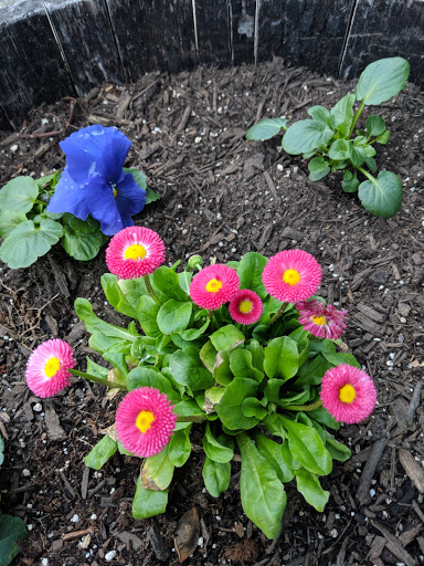 Tobacco Shop «Stoked Smoke Shop», reviews and photos, 3389 Fairfield Ave, Bridgeport, CT 06605, USA