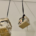 Photo n°8 de l'avis de Paolo.a fait le 02/11/2022 à 13:00 sur le  Vineria Tanto di Cappello à Ribera