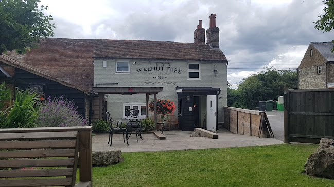 Walnut Tree - Maidstone
