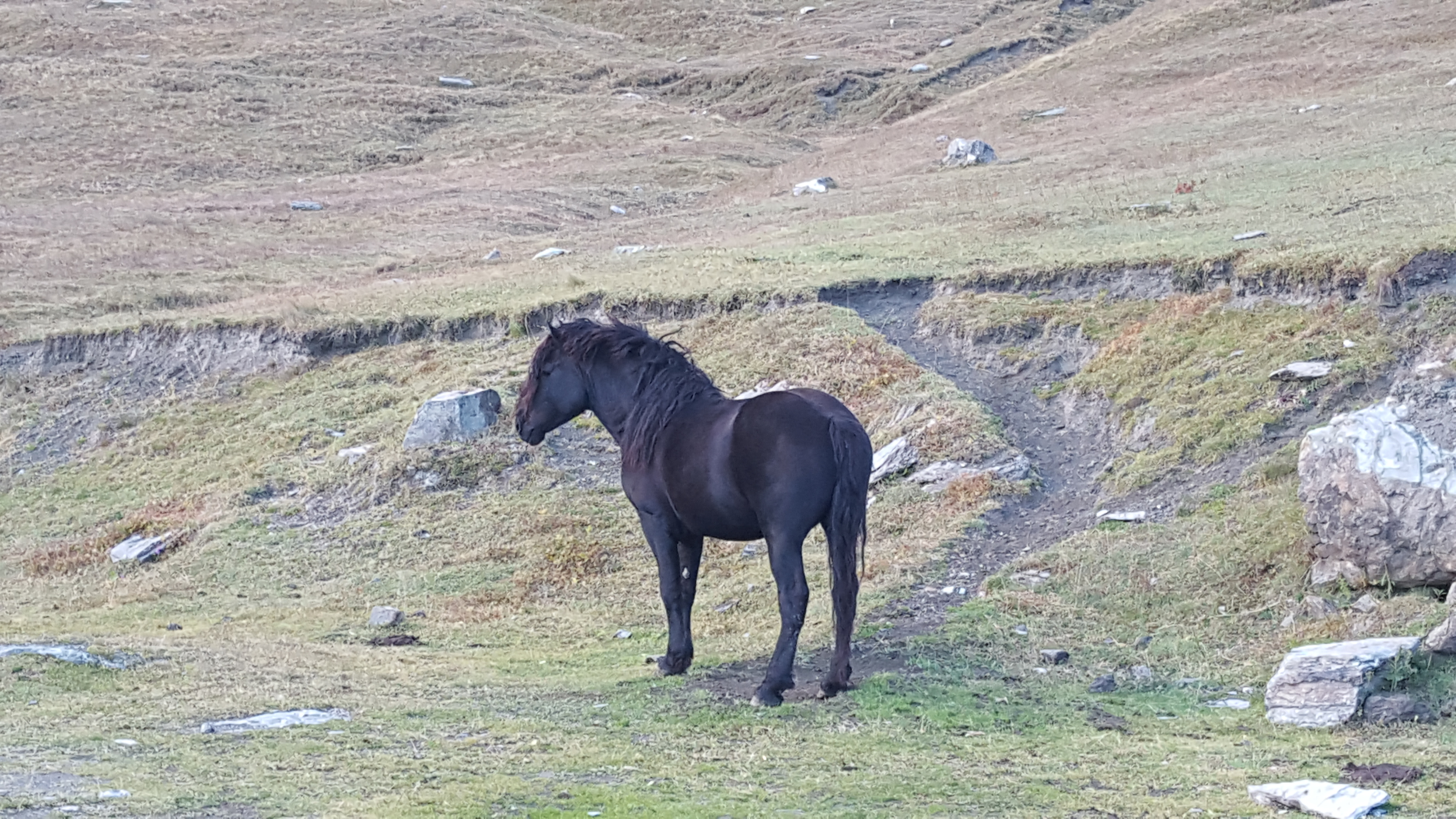 Photo n° 2 de l'avis de Leonardo.e fait le 15/09/2017 à 14:56