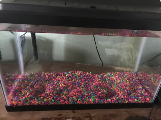 Pet Store «Eden Pets Supplies & Aquarium», reviews and photos, 3771 Bladensburg Rd, Brentwood, MD 20722, USA