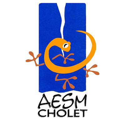 Club AESM Cholet - Bureau à Cholet
