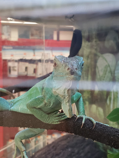 Pet Supply Store «Petco Animal Supplies», reviews and photos, 4755 U.S. 9, Howell, NJ 07731, USA