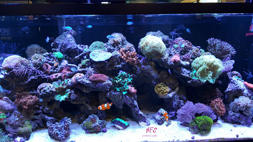 Tropical Fish Store «Premier Aquatics», reviews and photos, 1801 Roswell Rd, Marietta, GA 30062, USA