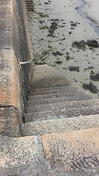 Photo n°8 de Celtarmor- Coquille Saint-Jacques de La Baie de Saint-Brieucc à Saint-Quay-Portrieux ()