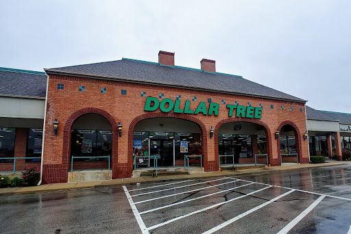 Dollar Store «Dollar Tree», reviews and photos, 12533 Olive Blvd, Creve Coeur, MO 63141, USA
