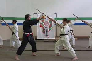 Okinawa Karate Shorin Style image