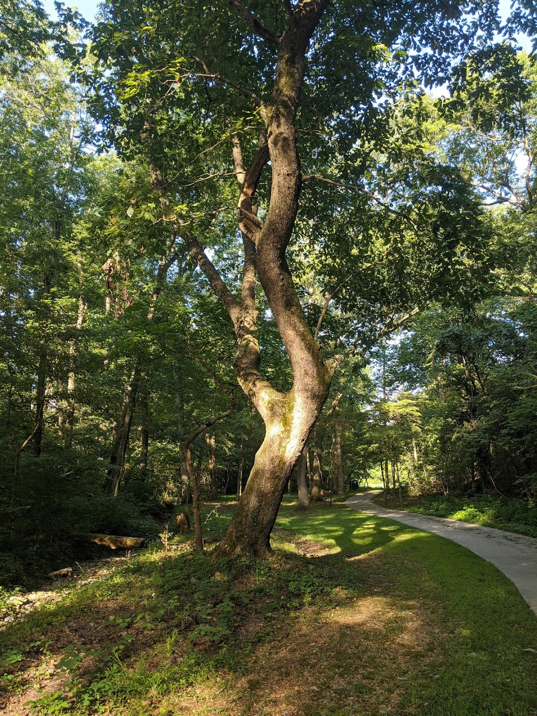 Branchwood Walking Trail