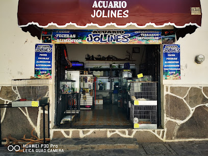 Acuario Jolines - peces alimentos y mascotas