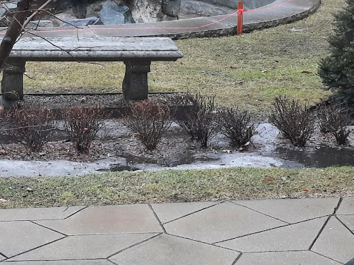 Museum «The Bakken Museum», reviews and photos, 3537 Zenith Ave S, Minneapolis, MN 55416, USA