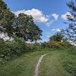 Laurel Hill Mountain Bike Trails