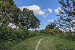 Laurel Hill Mountain Bike Trails