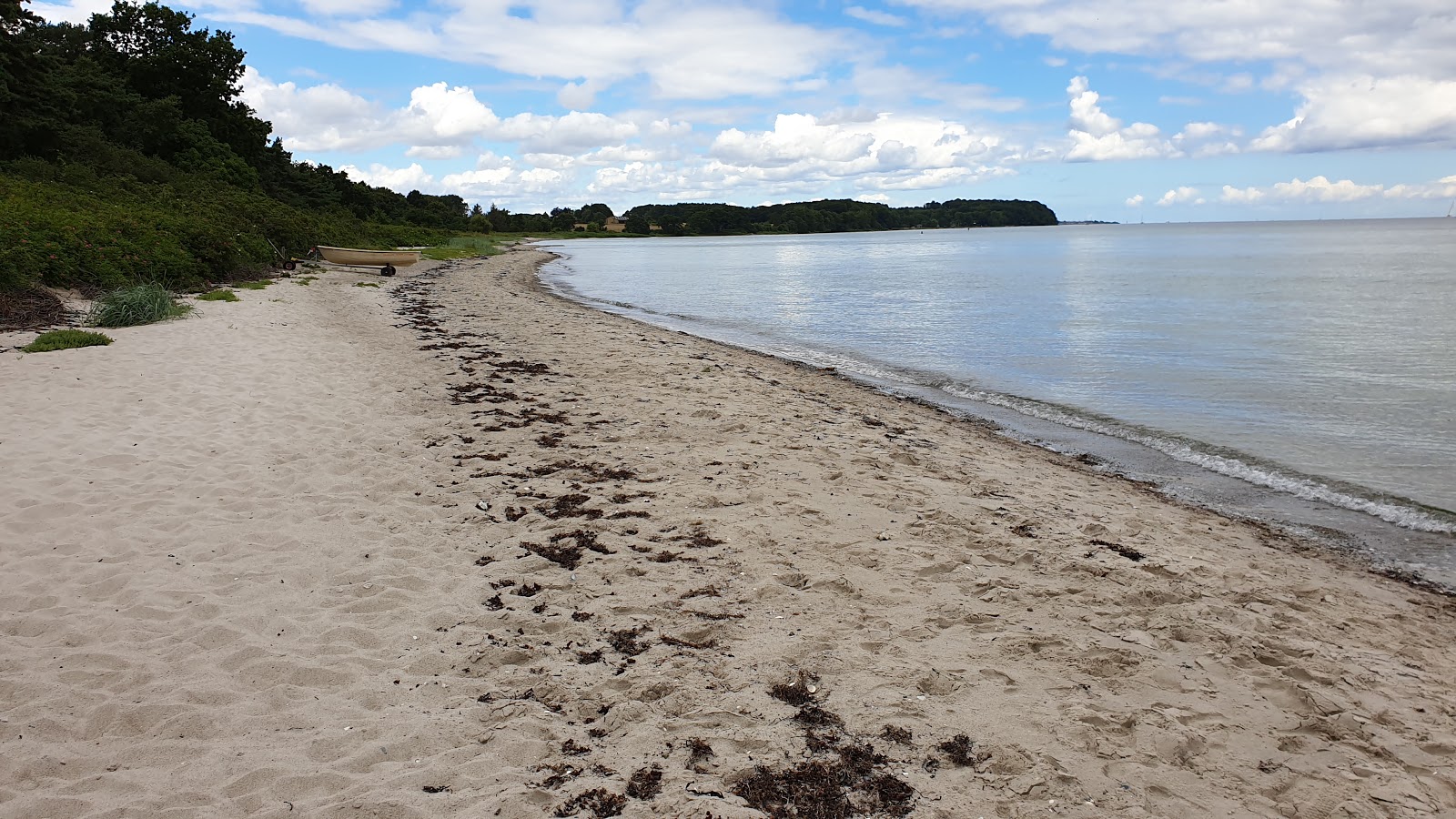 Elsehoved Beach'in fotoğrafı geniş bir kıyı şeridi ile birlikte