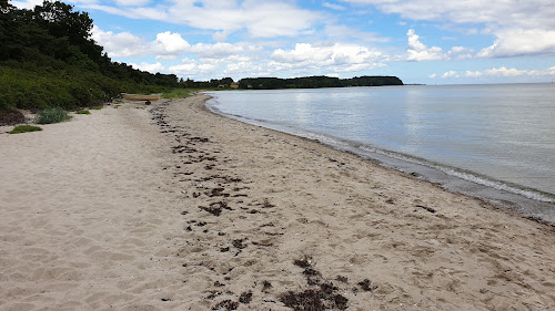 Elsehoved Beach photo #2