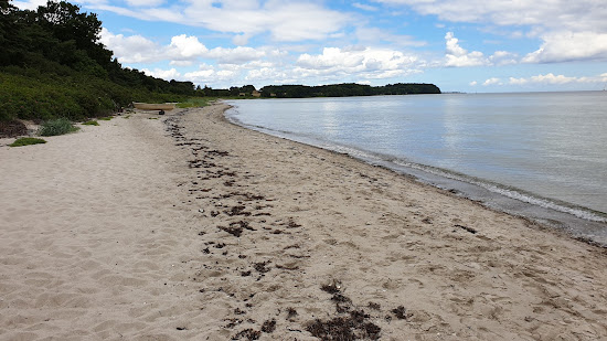 Elsehoved Beach