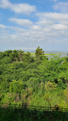 «Ocean City Welcome Center», reviews and photos, 300 W 9th St, Ocean City, NJ 08226, USA