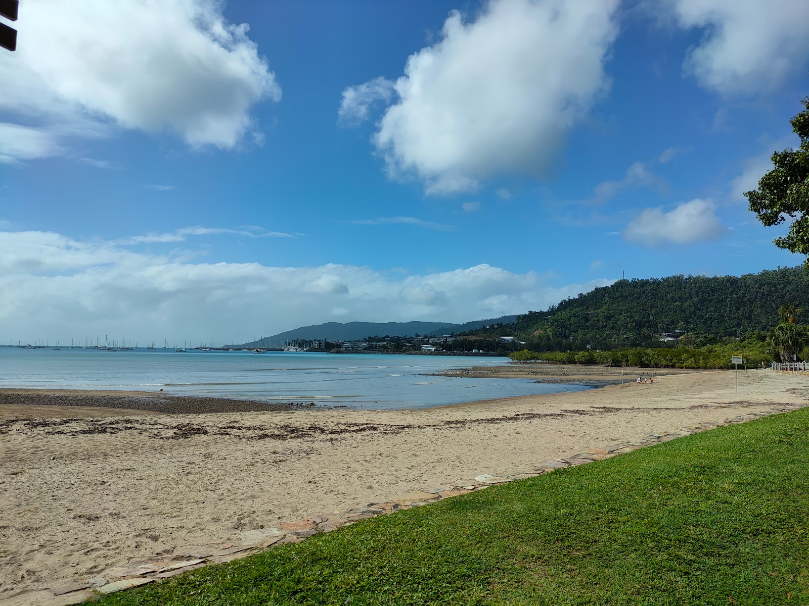 Cannonvale Beach的照片 带有米色沙子表面